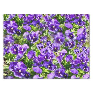 Purple Pansy Field, Tissue Paper