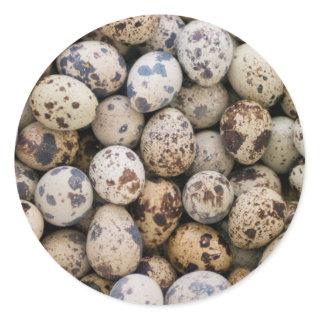 Quail Eggs, Huaraz, Cordillera Blanca, Ancash Classic Round Sticker