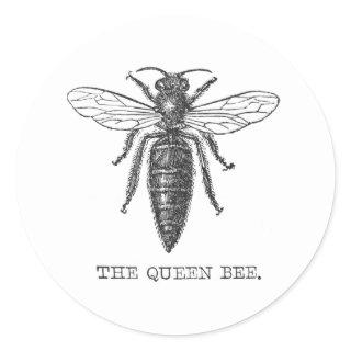 Queen Bee Bug Insect Antique Illustration Classic Round Sticker