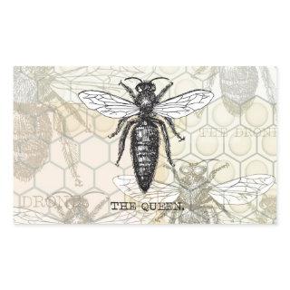 Queen Bee Bug Insect Antique Illustration Rectangular Sticker