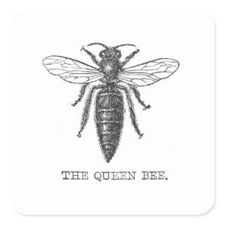 Queen Bee Bug Insect Antique Illustration Square Sticker
