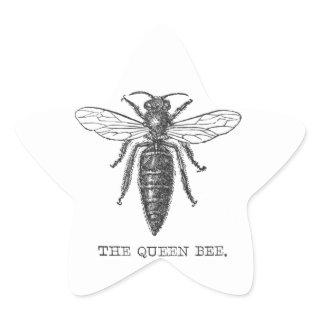 Queen Bee Bug Insect Antique Illustration Star Sticker