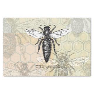 Queen Bee Bug Insect Antique Illustration Tissue Paper