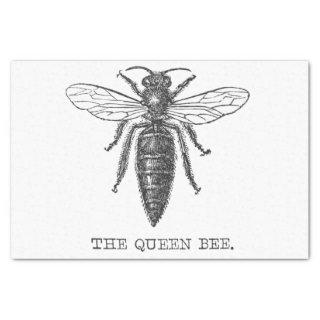 Queen Bee Bug Insect Antique Illustration Tissue Paper