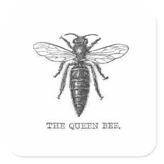 Queen Bee Bug Insect Bees Illustration Square Sticker