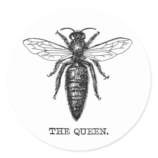 Queen Bee Illustration Classic Drawing Classic Round Sticker