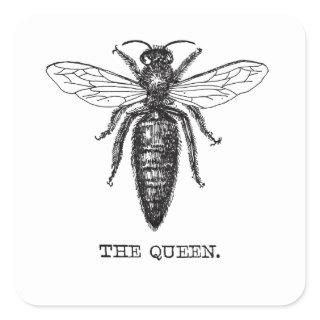 Queen Bee Illustration Classic Drawing Square Sticker