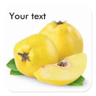 Quince fruits square sticker
