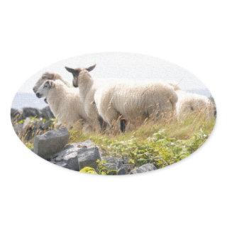 Quirky Designs - Sheep in a field Oval Sticker