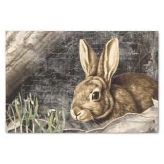 Rabbit Snowdrop Flowers Spring French Script Craft Tissue Paper