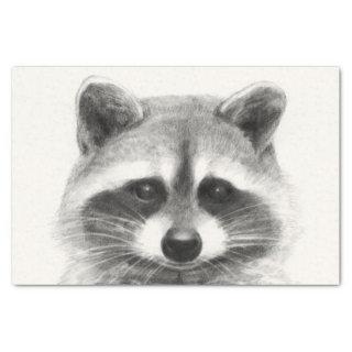 Raccoon Pencil Drawing Tissue Paper