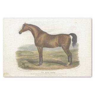 Race Horse Ephemera Decoupage Vintage  Tissue Paper