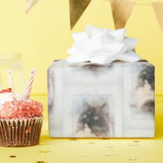 Ragdoll Cat in Abstract Frame