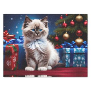Ragdoll Kitten Christmas Present  Tissue Paper