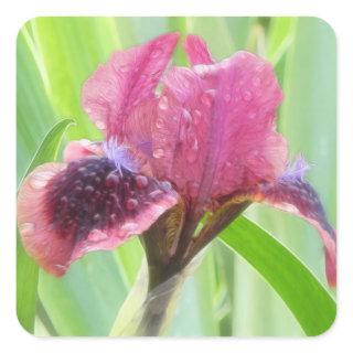 Rain Covered Iris Square Sticker