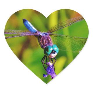 Rainbow Dragonfly and flower Heart Sticker