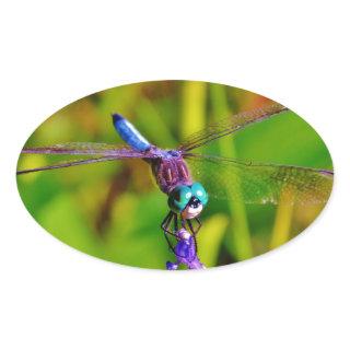Rainbow Dragonfly and flower Oval Sticker
