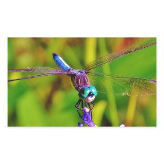 Rainbow Dragonfly and flower Rectangular Sticker