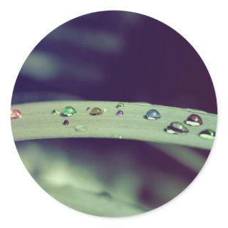 Rainbow Drops Stickers