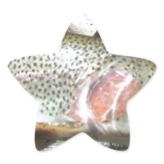 Rainbow trout star sticker