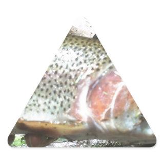 Rainbow trout triangle sticker