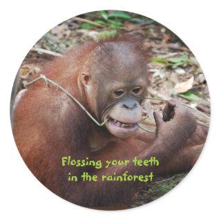 Rainforest Animals Floss Teeth Classic Round Sticker