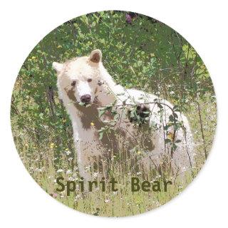 Rare Kermode Spirit Bear, Wildlife Artwork Classic Round Sticker