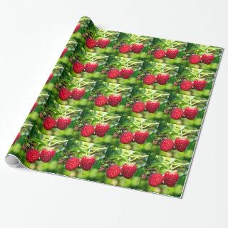 Raspberries