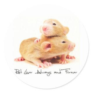Rat Lover Always and Forever Classic Round Sticker