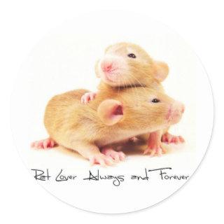 Rat Lover Always and Forever Classic Round Sticker