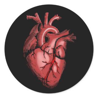 Realistic Anatomical Heart Image Classic Round Sticker