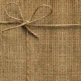 Realistic Burlap Texture Simple Rustic Light Brown