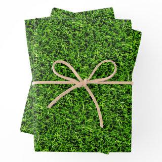 Realistic Grass Photo Texture Funny Bright Green  Sheets