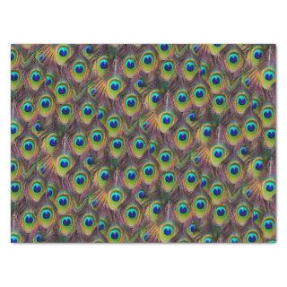 Realistic Peacock Feathers Bohemian Tissue Paper
