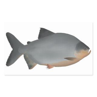 Red-bellied Pacu Rectangular Sticker