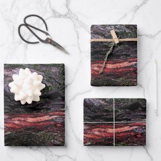 Red black tree mossy wood bark  sheets