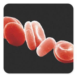 Red Blood Cells Square Sticker