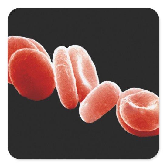 Red Blood Cells Square Sticker