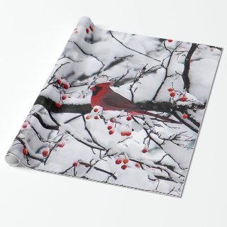 Red Cardinal Snow Tree Photo