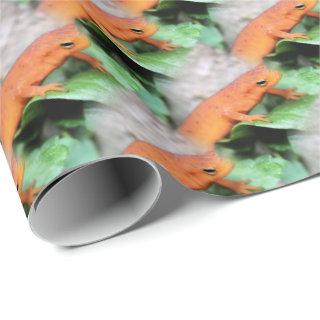 Red Eft Orange Salamander Animal Pattern