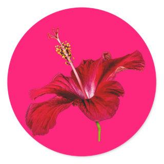 Red Hibiscus Flower Side View Classic Round Sticker