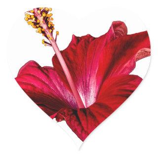 Red Hibiscus Flower Side View Heart Sticker