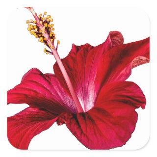 Red Hibiscus Flower Side View Square Sticker