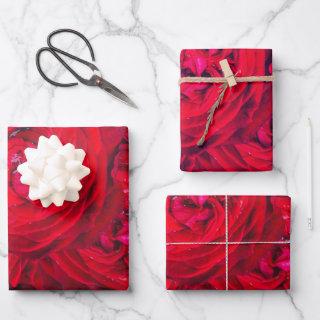 Red rose blossoms with dewdrops - photography  sheets