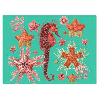 RED SEAHORSE AND SEASTARS IN AQUA BLUE Sea Life Tissue Paper