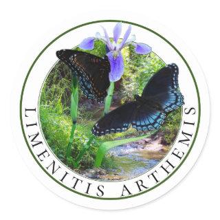 Red Spotted Purple Butterflies and Blue Flag Iris Classic Round Sticker