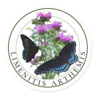 Red Spotted Purple Butterflies on Bee Balm Classic Round Sticker