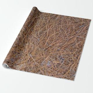 Reddish brown pine straw needles photo