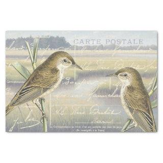 Reed Warbler Bird Marsh French Script Decoupage    Tissue Paper