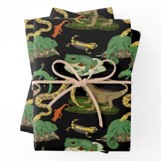 Reptile, Lizards & Amphibians Pattern  Sheets
